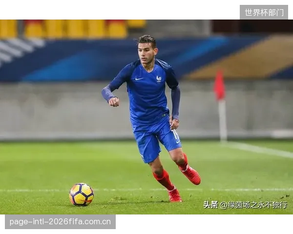 德尚体系下的防守纪律成关键,法国队以欧洲区最低犯规率寻求卫冕之路的稳定性。 德尚体系下的防守纪律成关键,法国队以欧洲区最低犯规率寻求卫冕之路的稳定性。